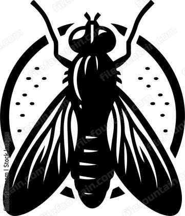 Fly