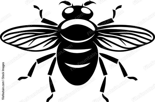 Fly