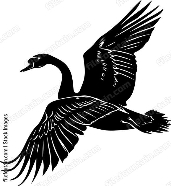 Flying Swan