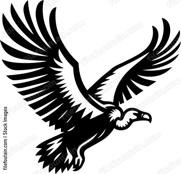 Flying Vulture