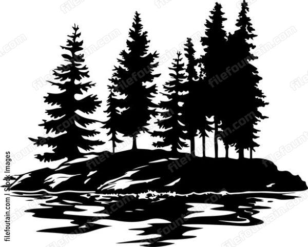 Forest And River