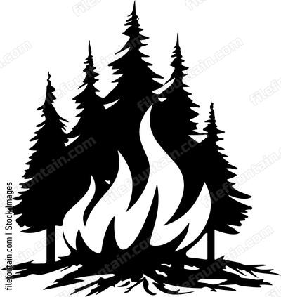 Forest Fire