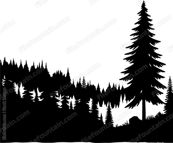Forest Landscape