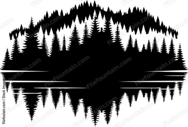 Forest Landscape