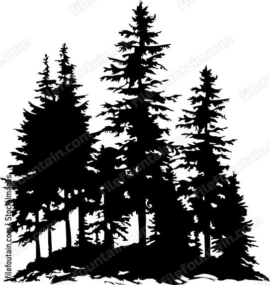 Forest Silhouette