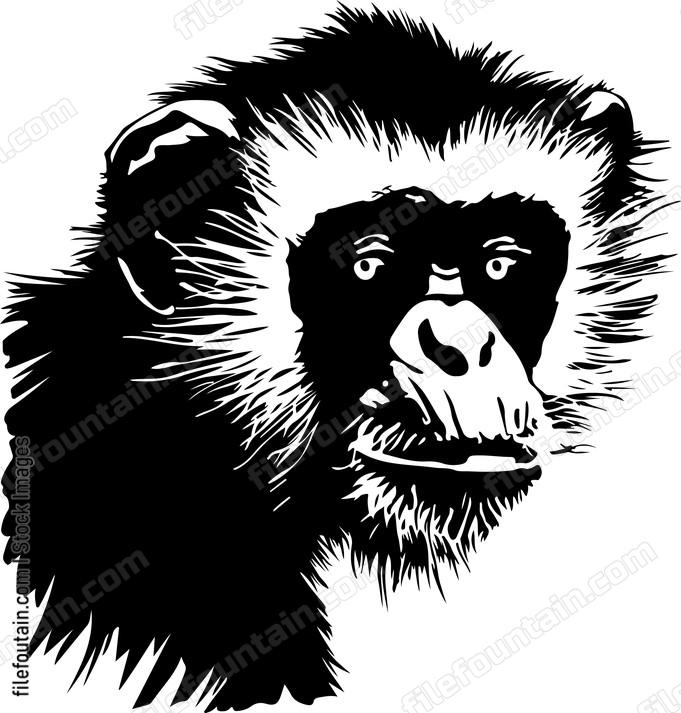 Francois Langur