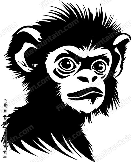 Francois Langur