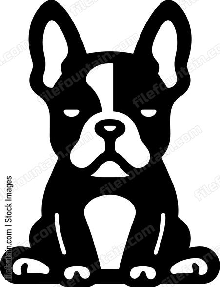 French Bulldog