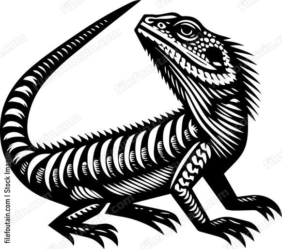 Frilled Neck Lizard