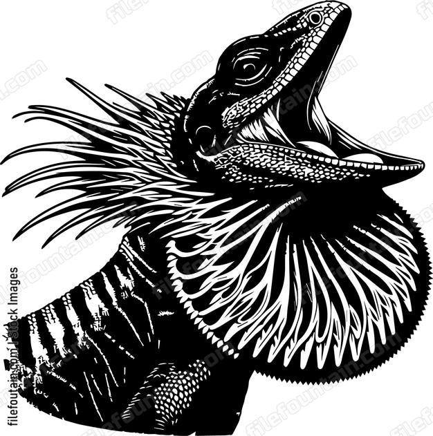 Frilled Neck Lizard