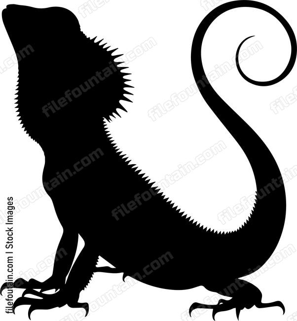 Frilled Neck Lizard