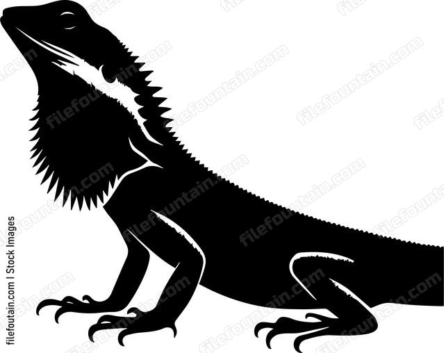 Frilled Neck Lizard