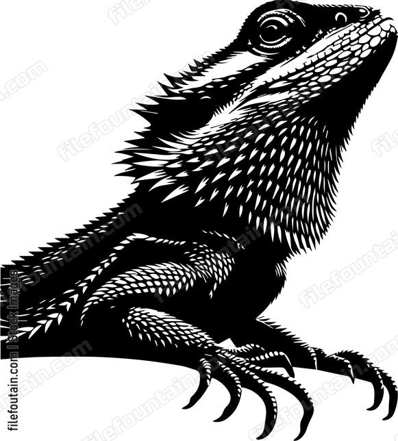 Frilled Neck Lizard