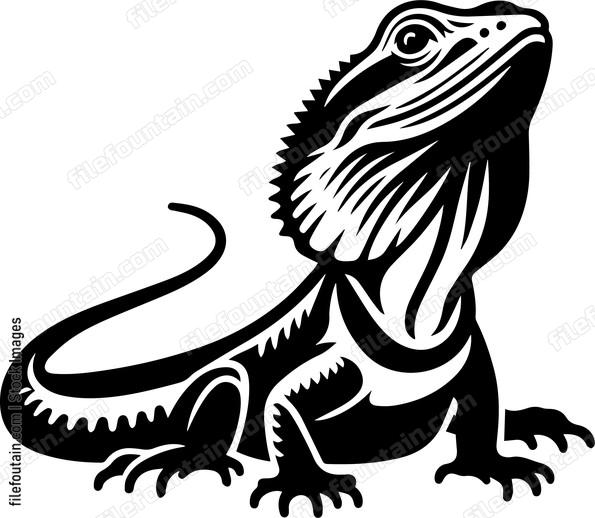 Frilled Neck Lizard