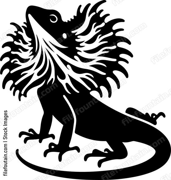 Frilled Neck Lizard