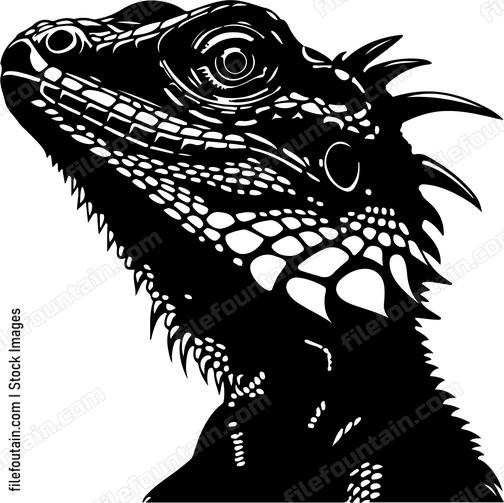 Frilled Neck Lizard