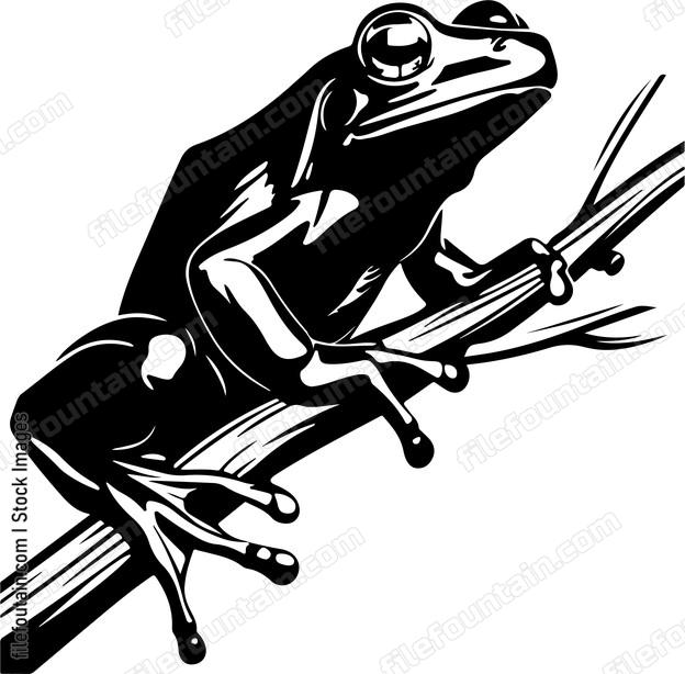 Frog On A Branch