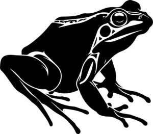 Frog Silhouette
