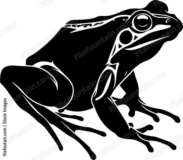 Frog Silhouette