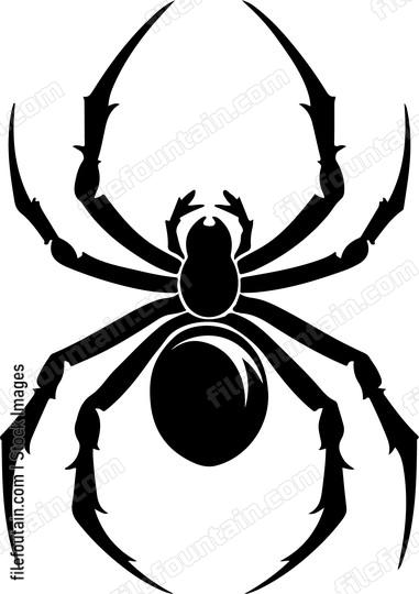 Front Facing Spider