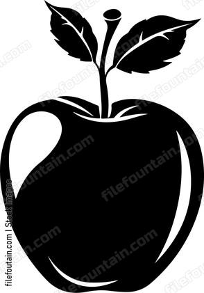 Fruit