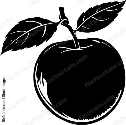 Fruits
