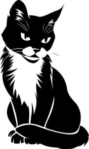 Funny Cat