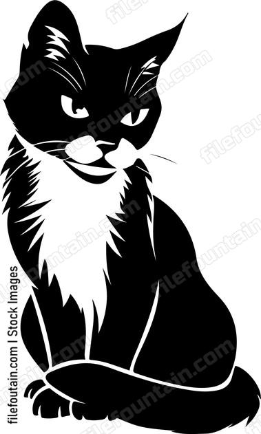 Funny Cat