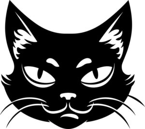 Funny Cat