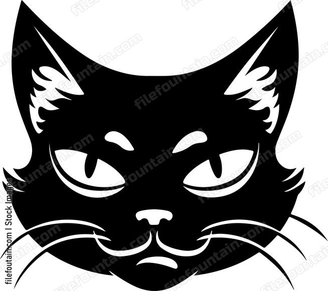 Funny Cat