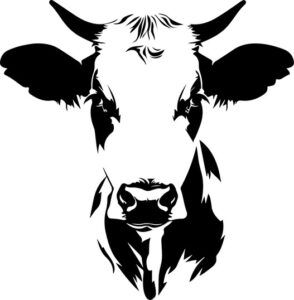 Funny Cow