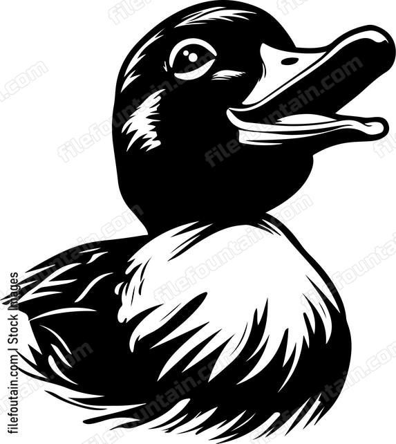 Funny Duck
