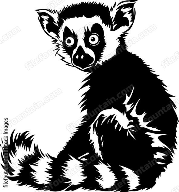 Funny Lemur