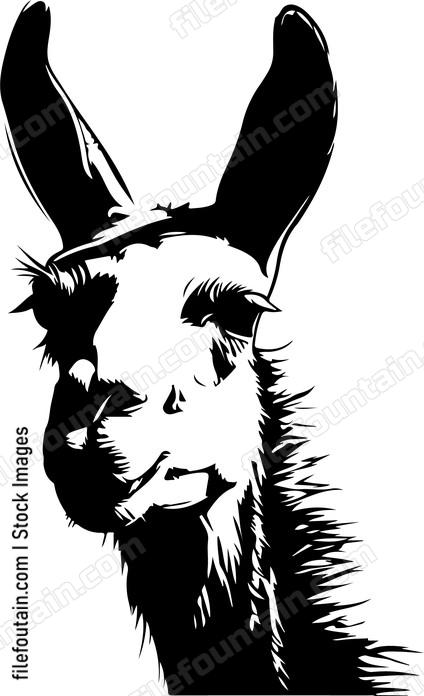 Funny Llama