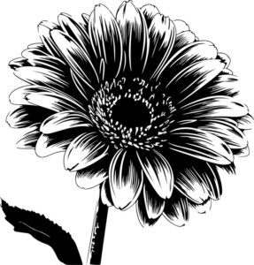 Gerbera Flower
