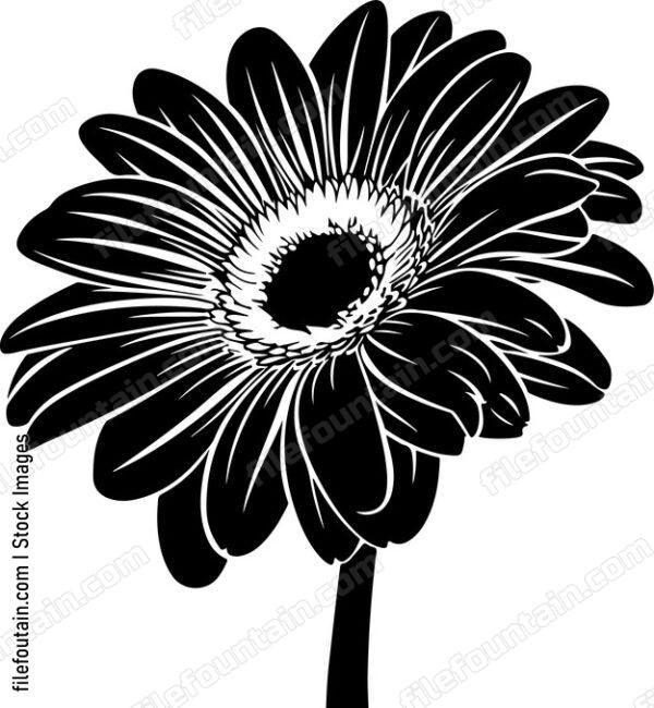 Gerbera Flower
