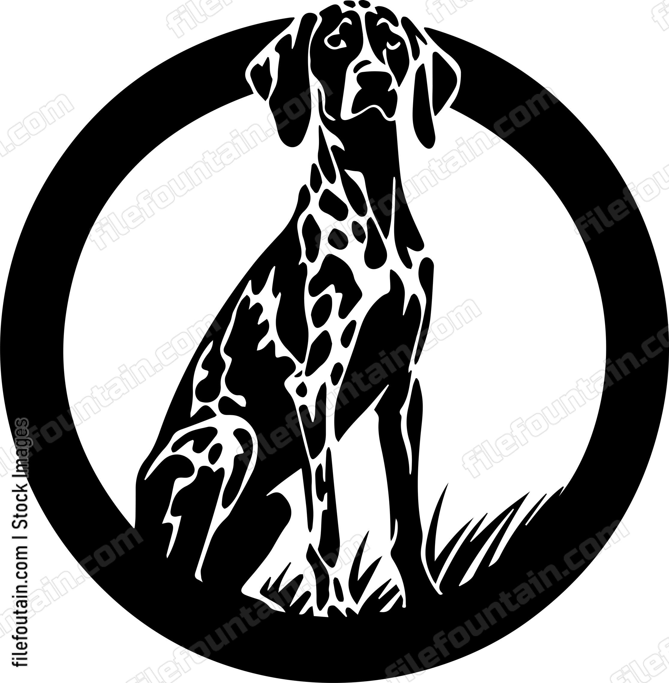 German Shorthaired Pointer