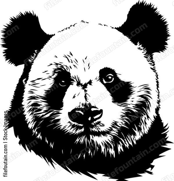 Giant Panda