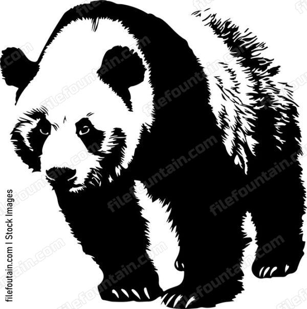 Giant Panda