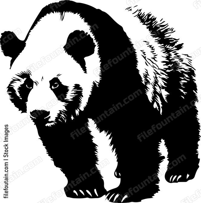 Giant Panda