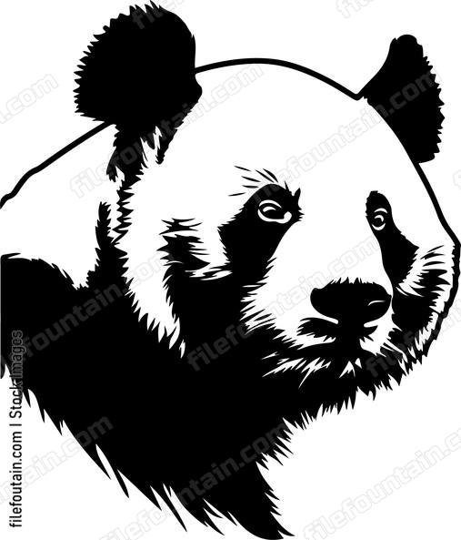 Giant Panda