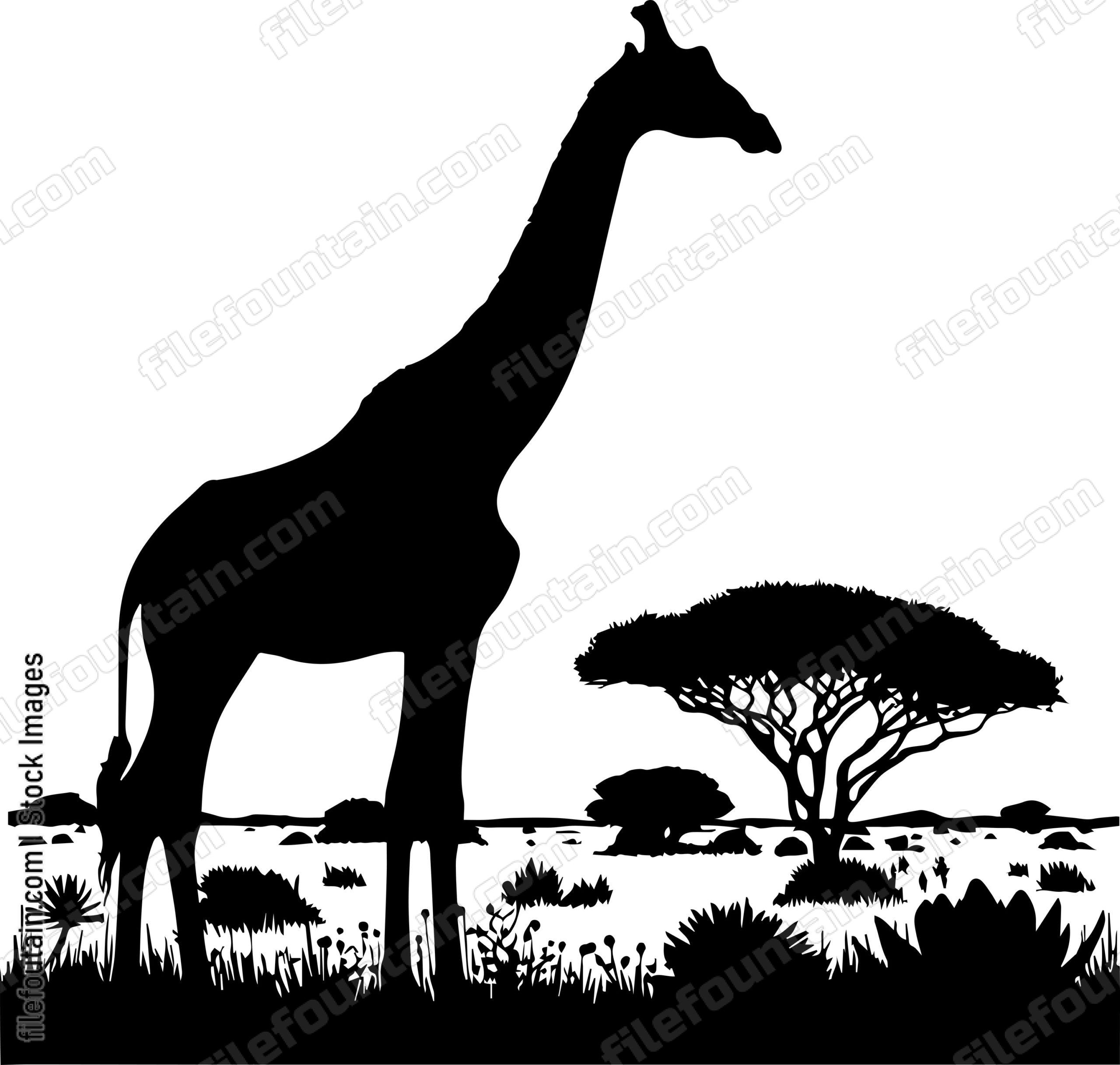 Giraffe