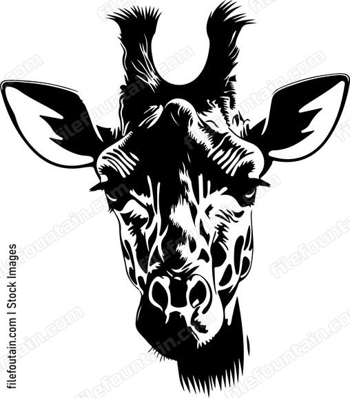Giraffe Face