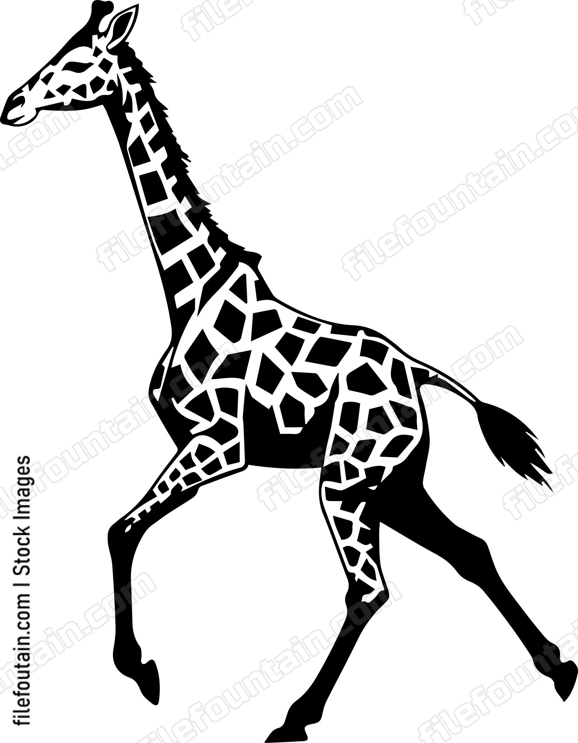 giraffe running