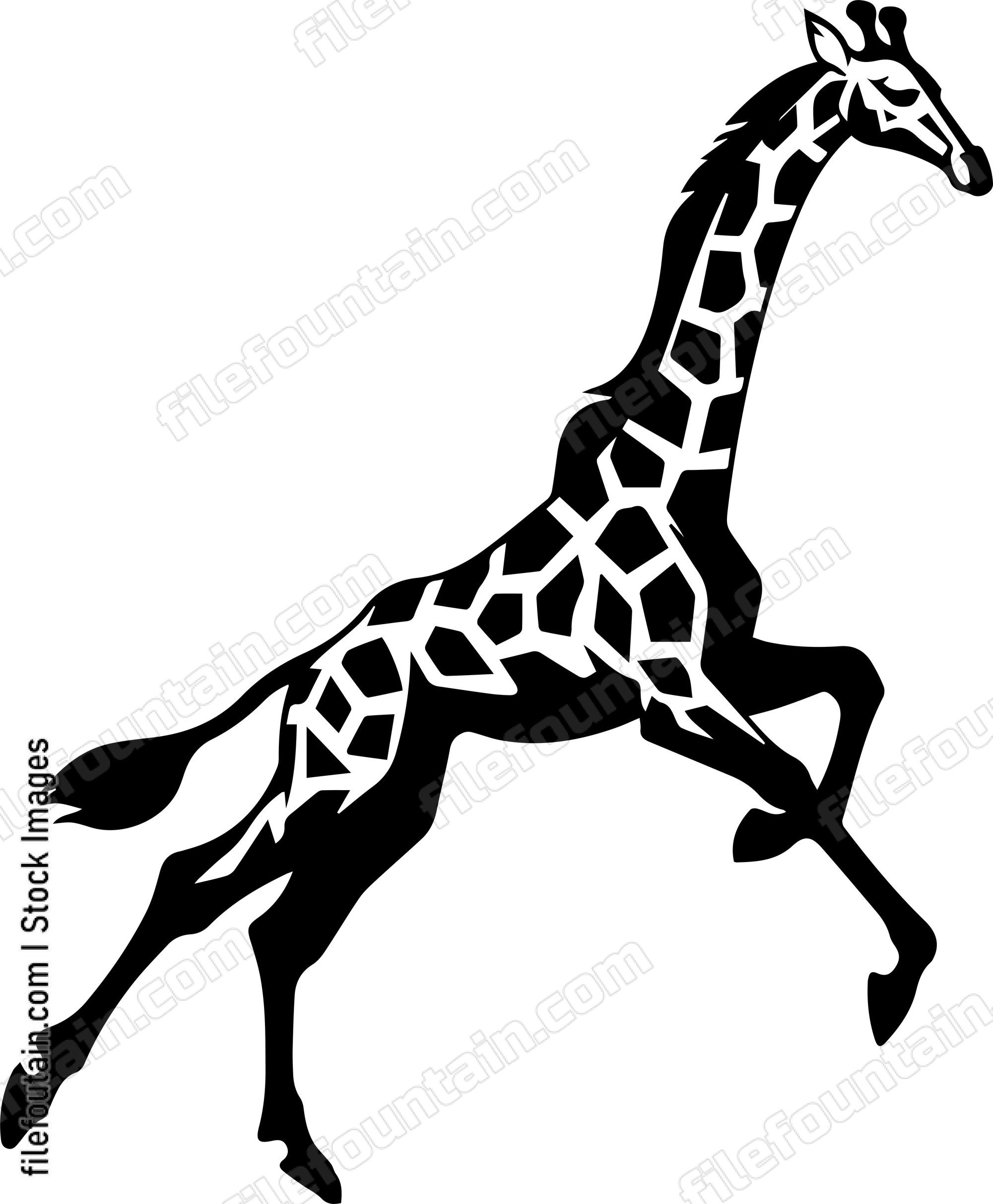 giraffe running