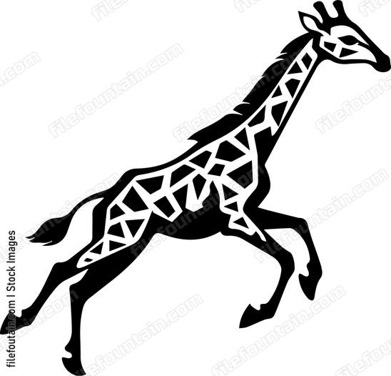 giraffe running