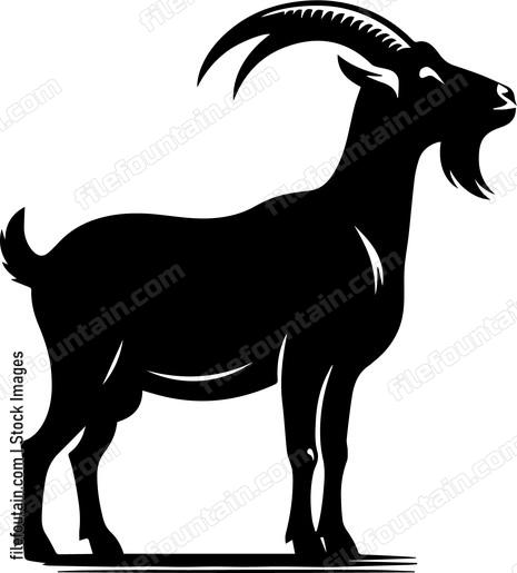 Goat