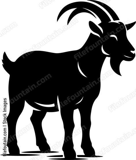 Goat