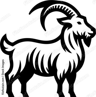 Goat