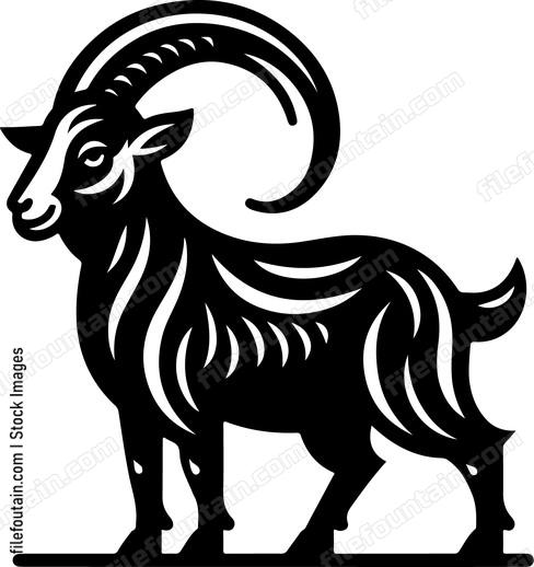 Goat